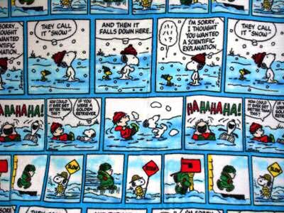 Peanuts Charlie Brown Snoopy Comic Strip Fleece Fabric  